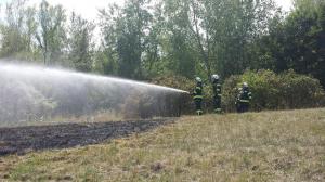 k-Foto 20.07.17, 18 50 34