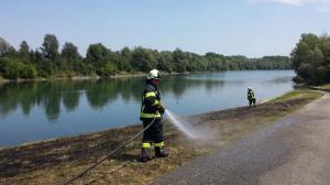 k-Foto 20.07.17, 18 50 44